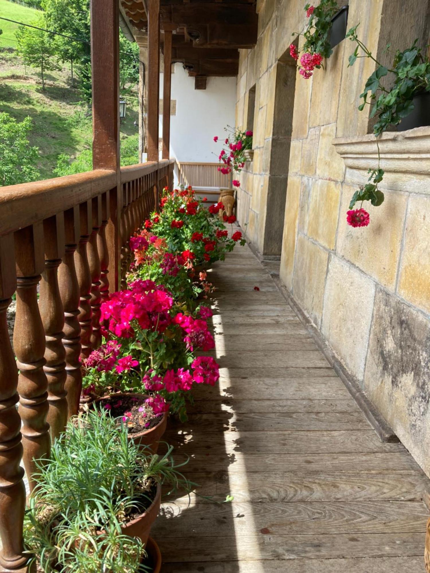 La Valuisilla, Hotel Rural Cicera Zewnętrze zdjęcie
